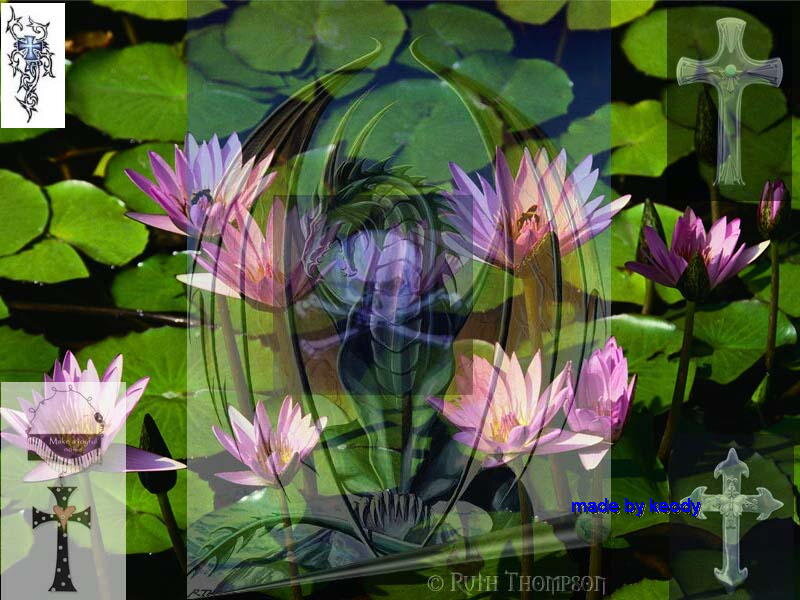 Dragon Among Water Lilies