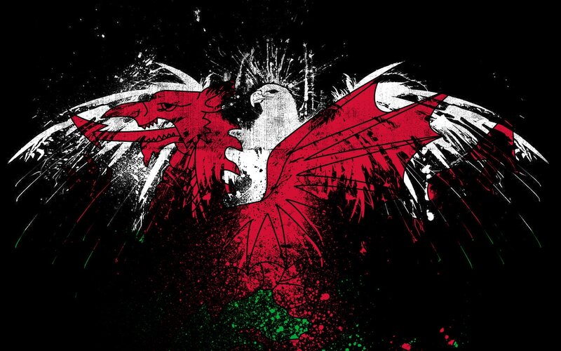 dragon and eagle artwork