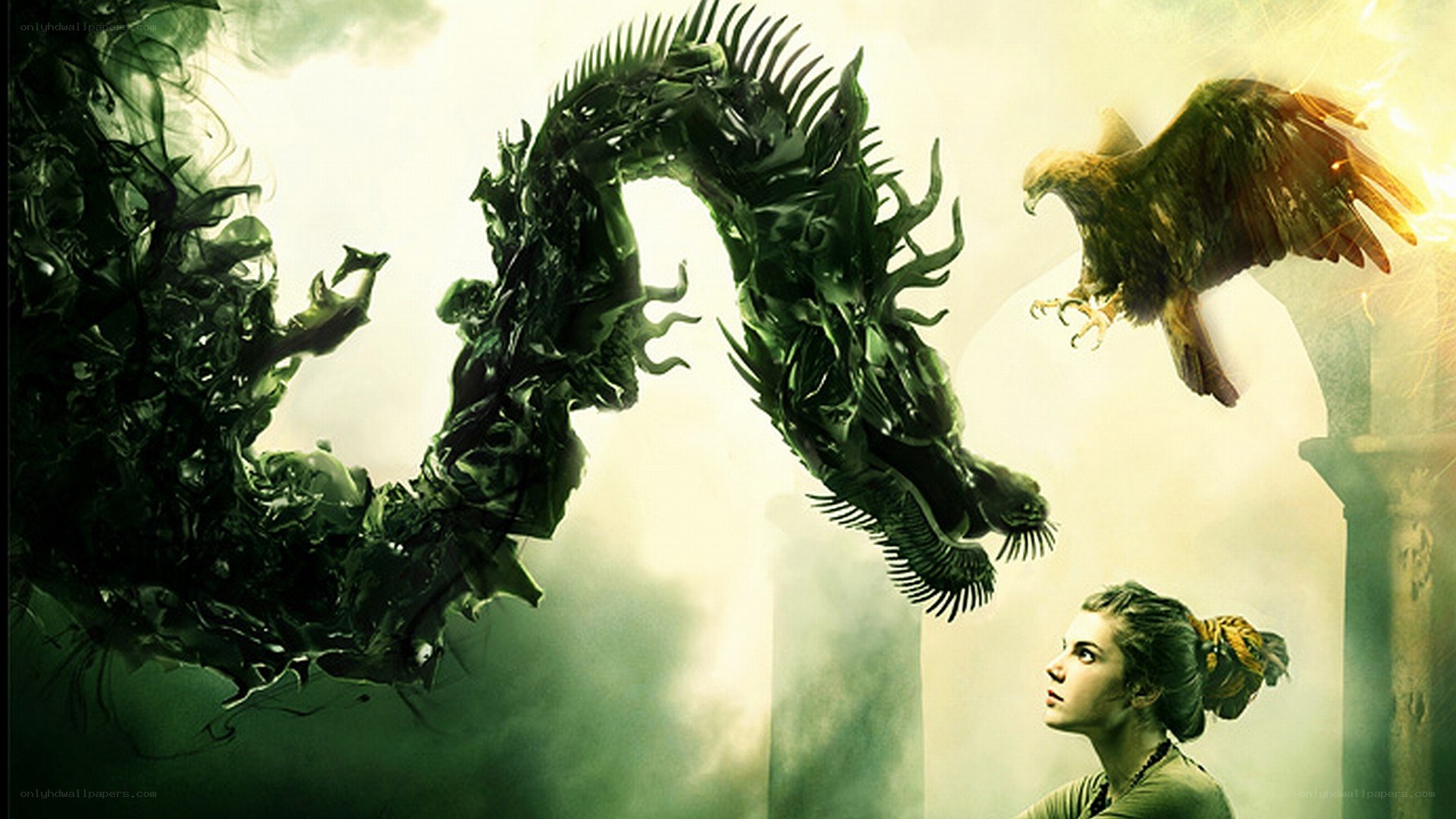 dragon and eagle confrontation