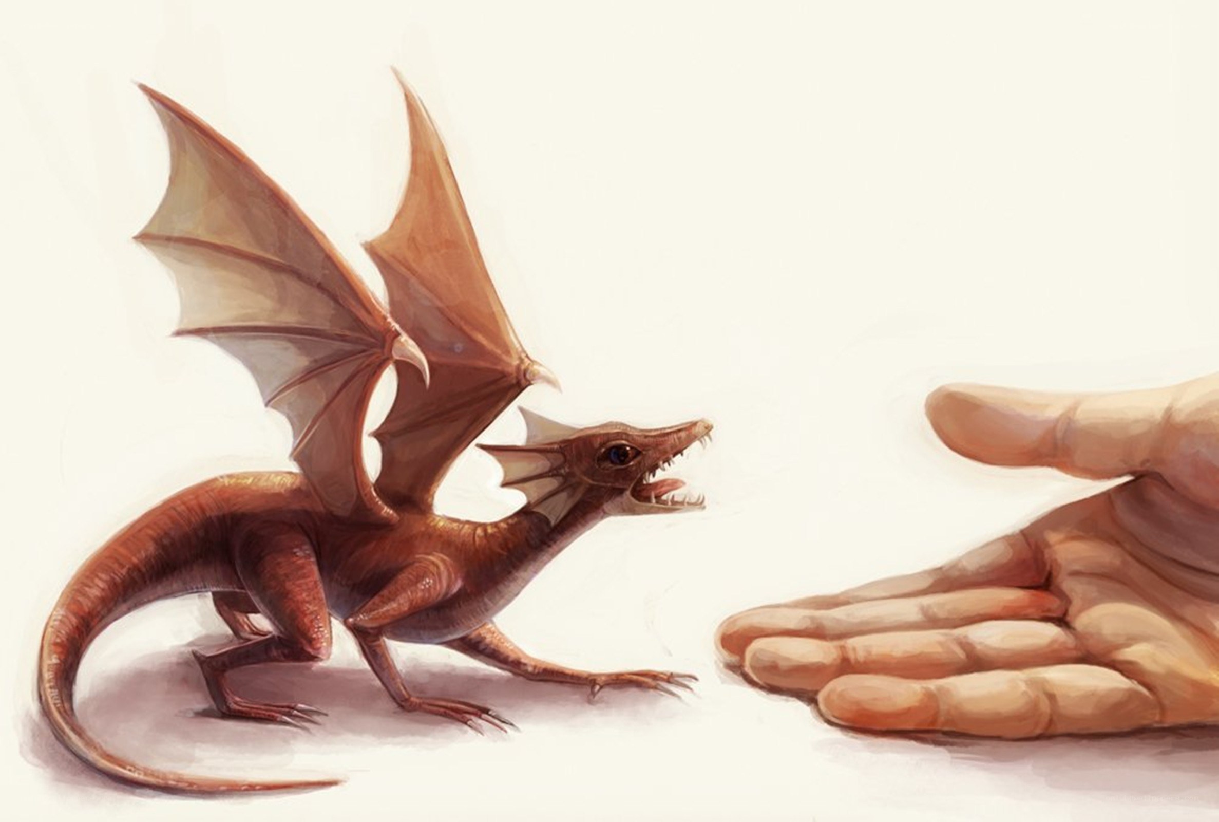 dragon and hand interaction