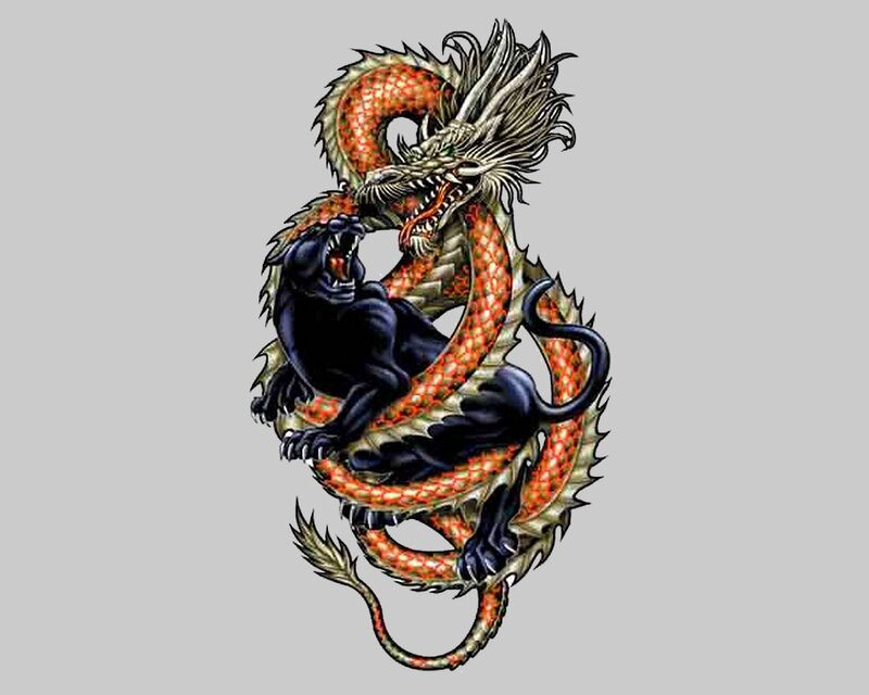 dragon and panther illustration