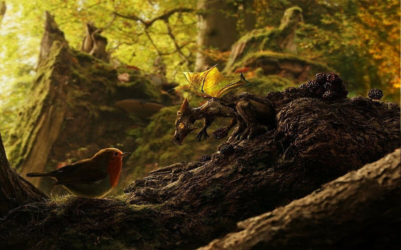 dragon and robin in forest