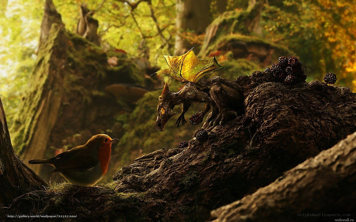 dragon and robin in forest