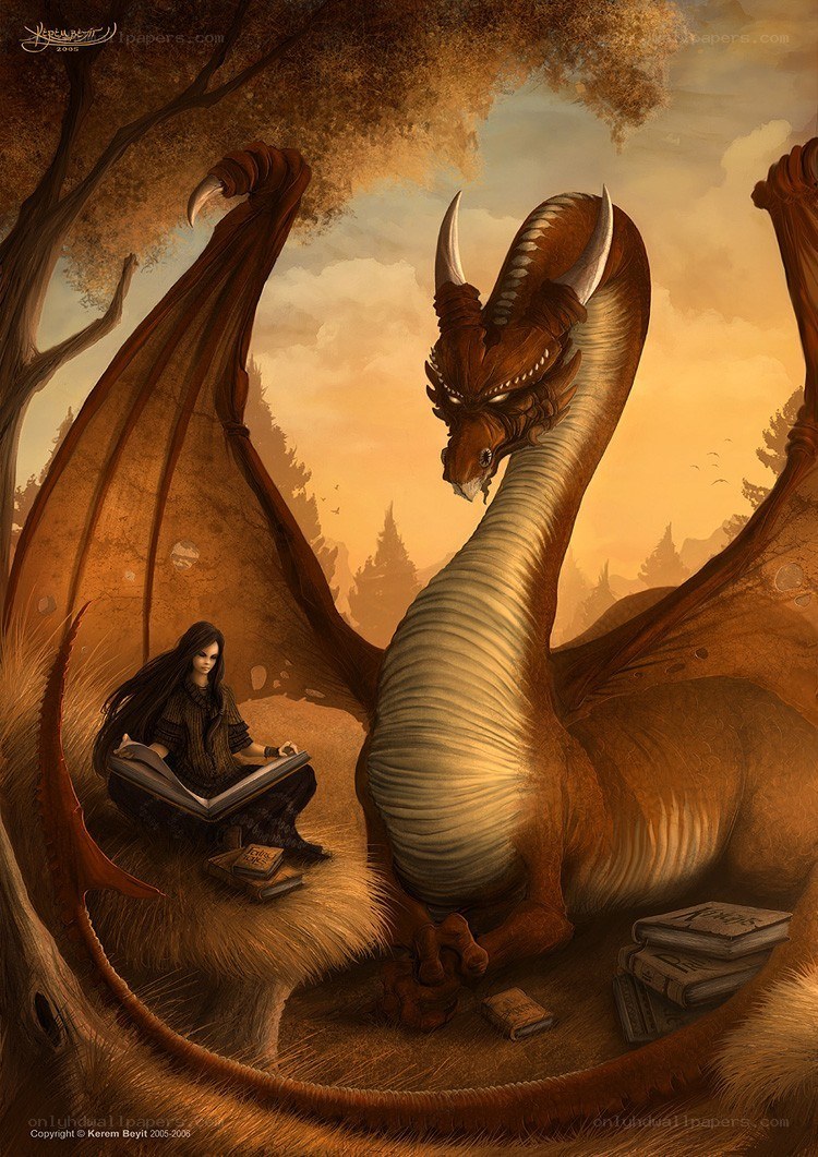 Dragon and scholar in forest