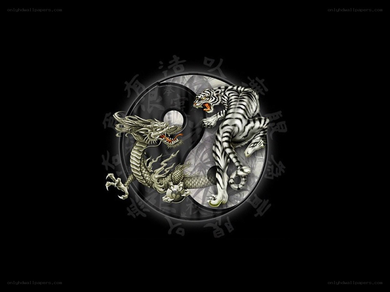 Dragon and Tiger Yin Yang