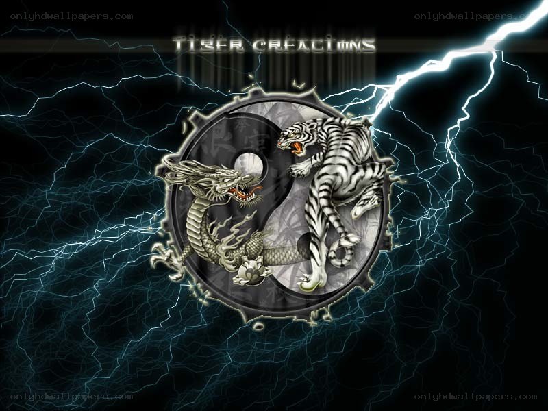 Dragon and tiger yin-yang design