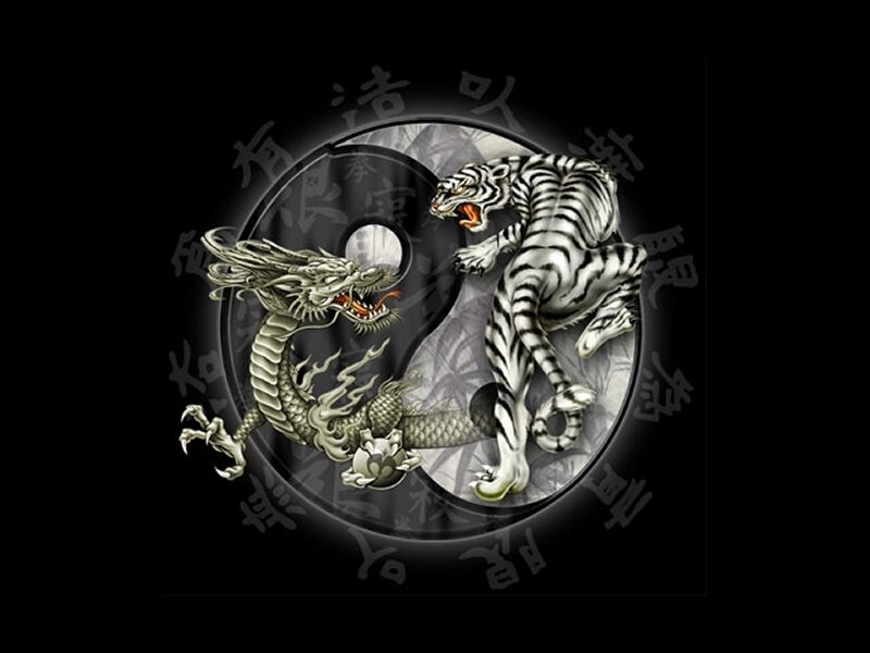 Dragon and tiger yin-yang symbol