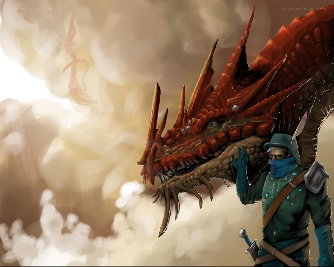 dragon and warrior companion