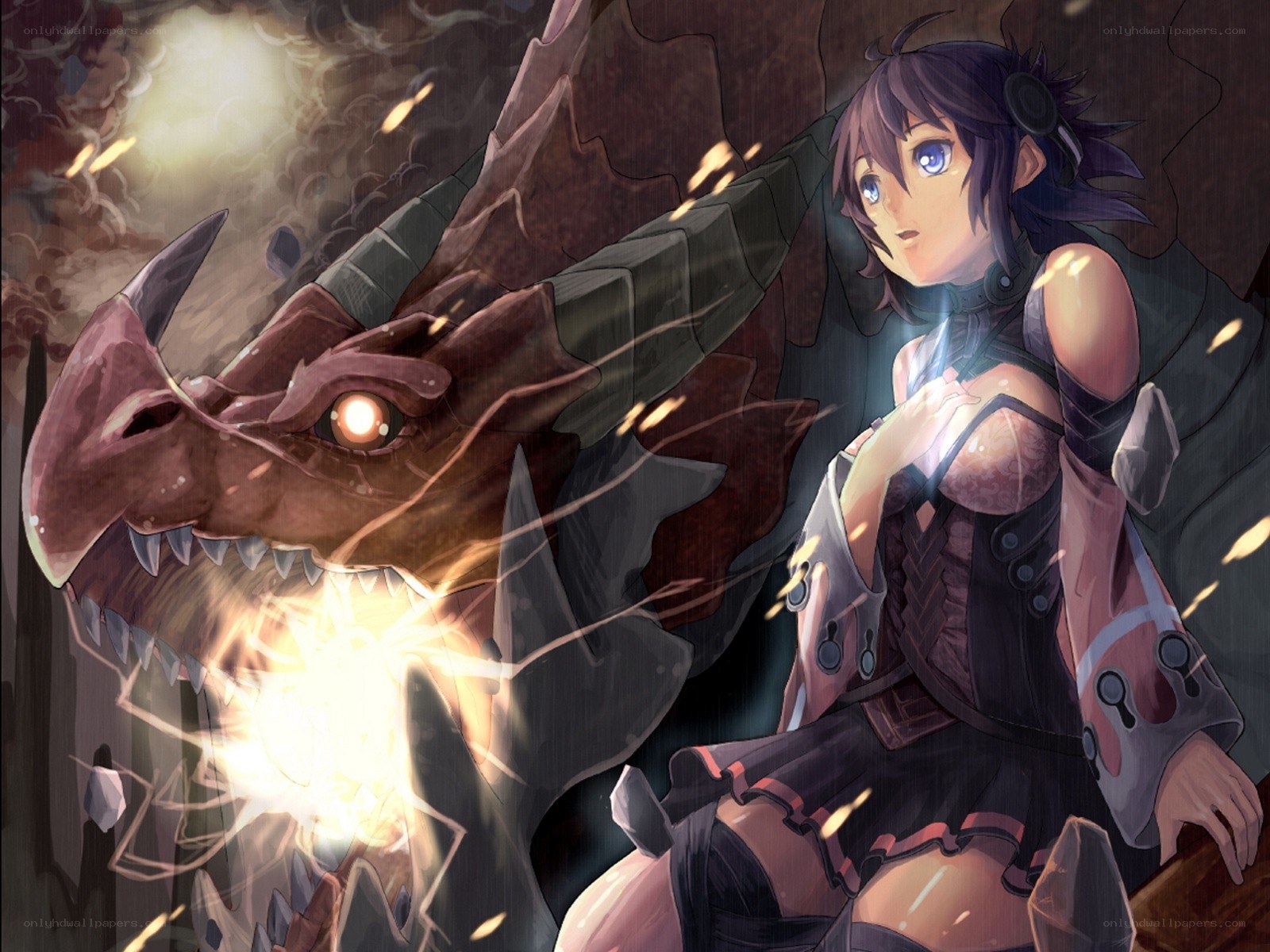 dragon and warrior girl