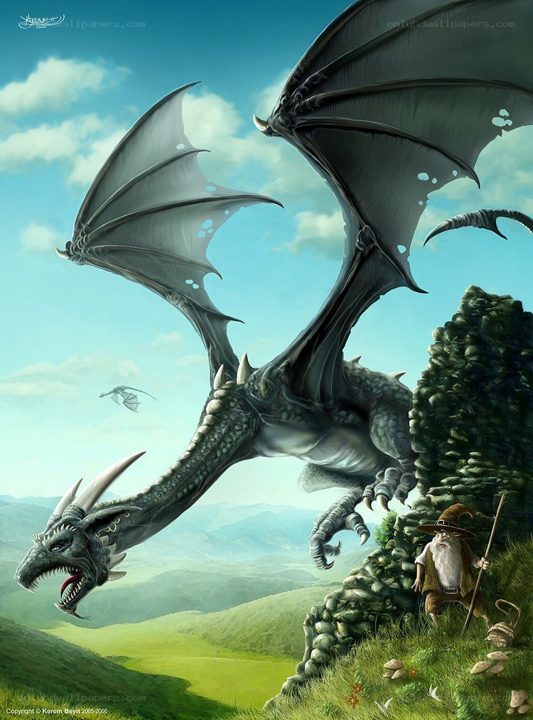 Dragon and wizard on a hill