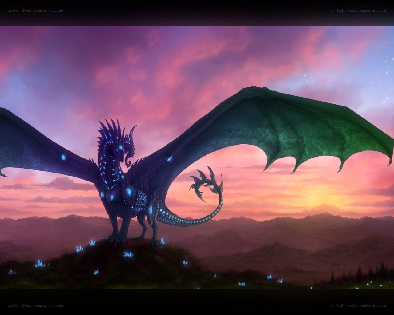 dragon at sunset on a hill