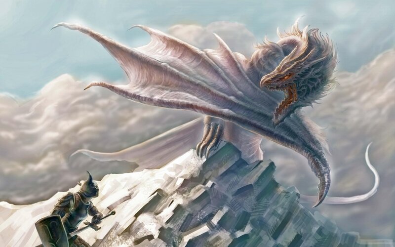 Dragon Attacking Knight — Gray