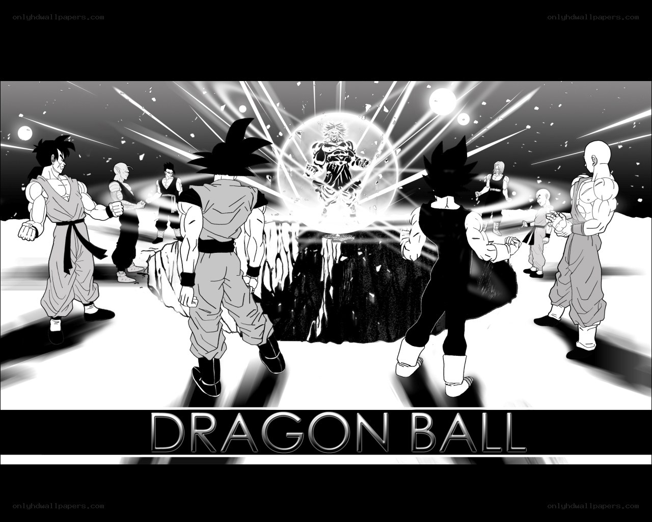 Dragon Ball characters in battle