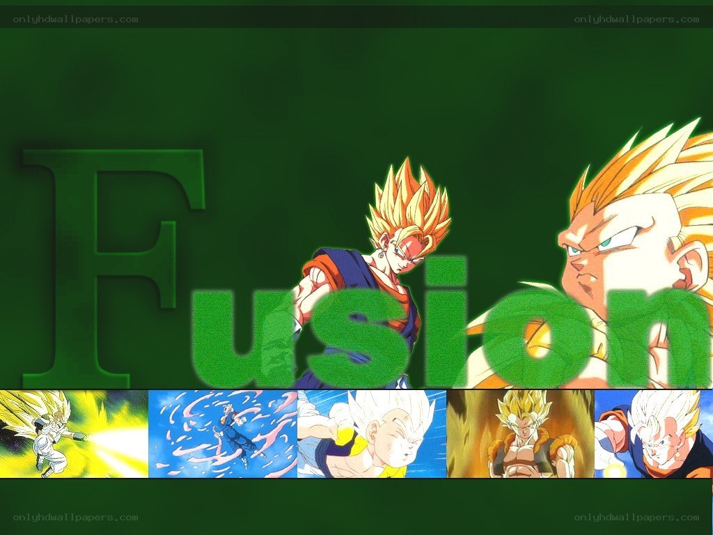 Dragon Ball Fusion artwork