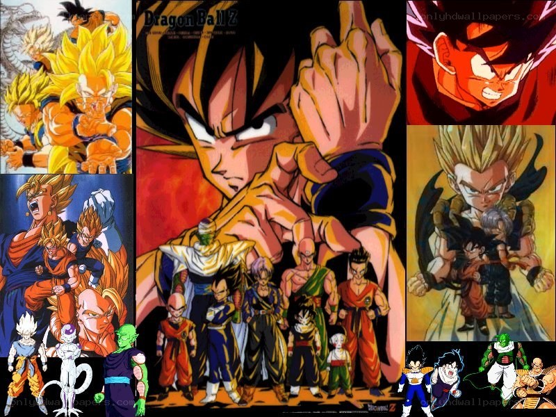 Dragon Ball Z character collage