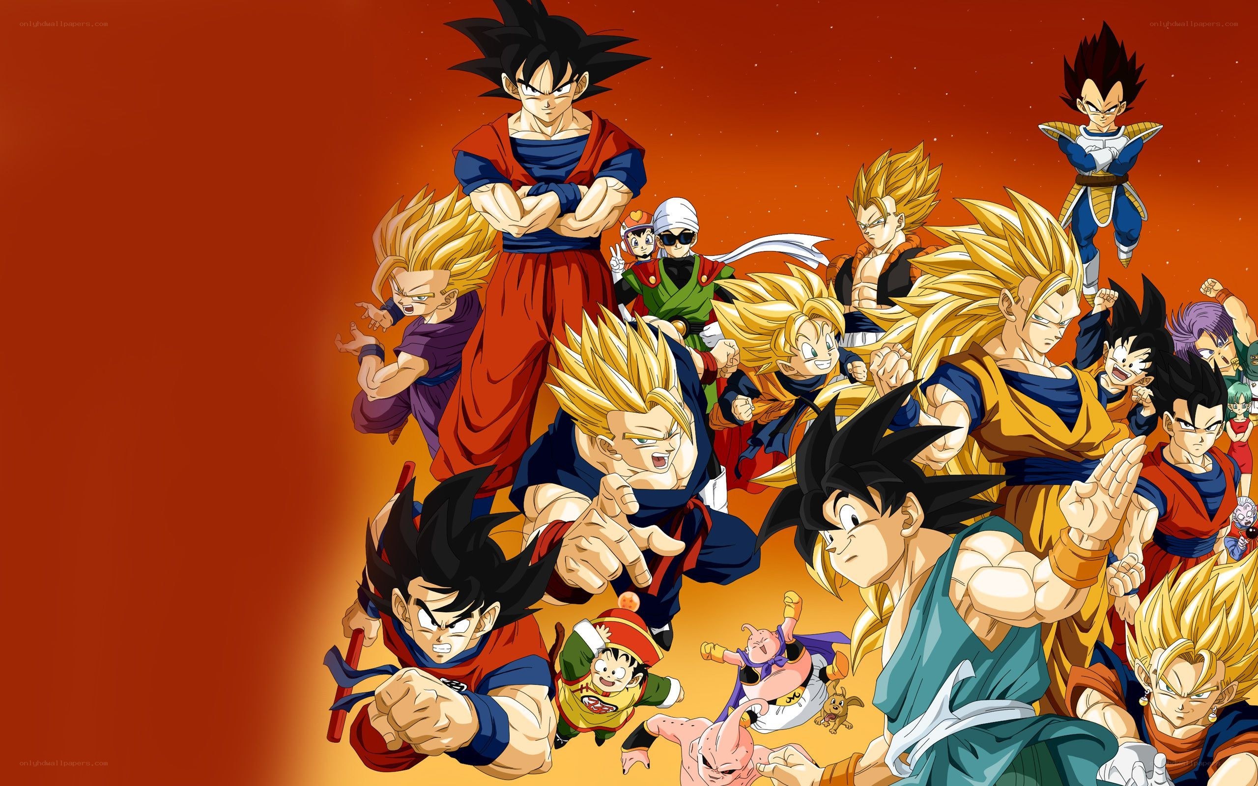 Dragon Ball Z character collage