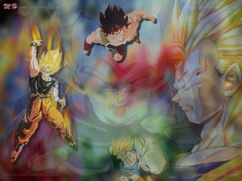 Dragon Ball Z character collage