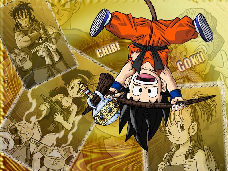Dragon Ball Z character collage