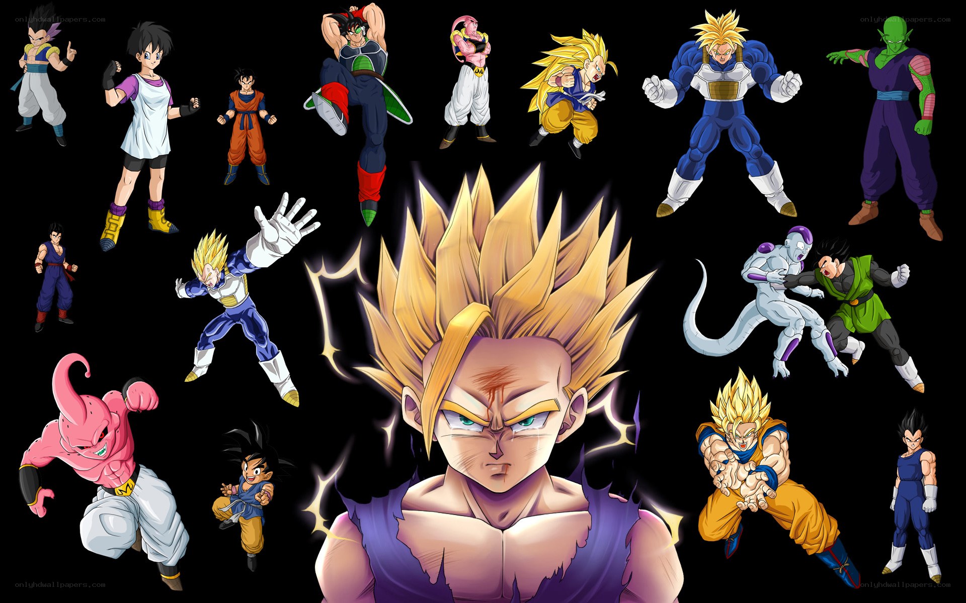 Dragon Ball Z character collage