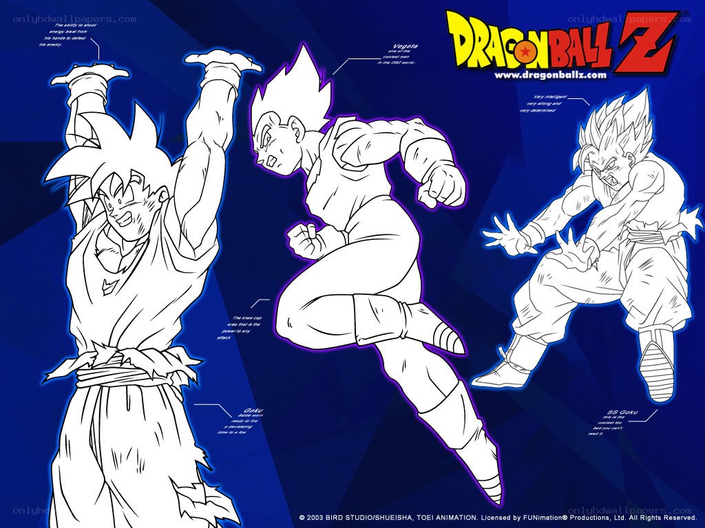 Dragon Ball Z character designs