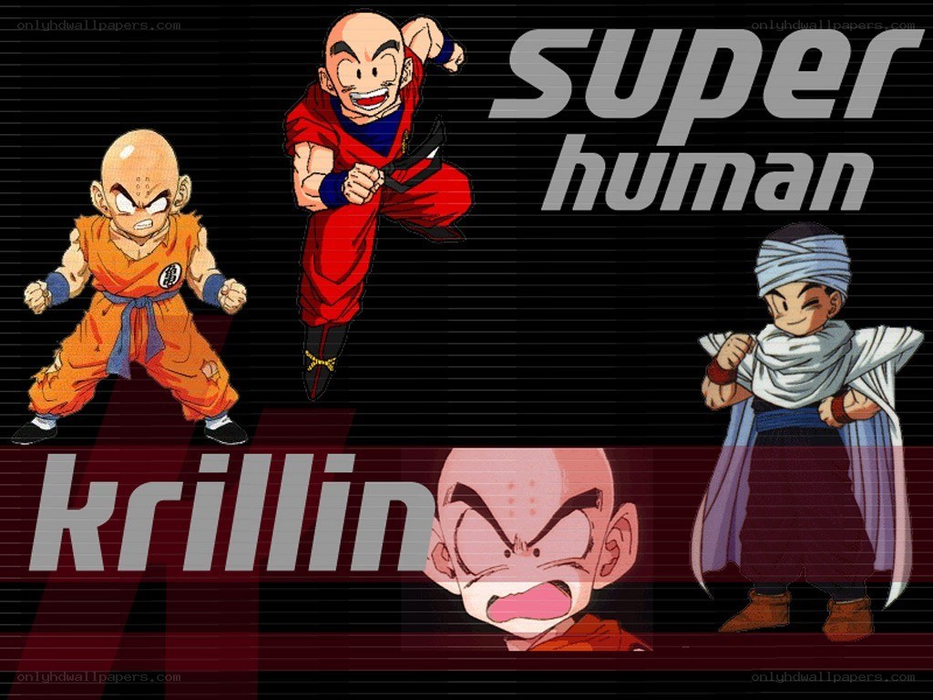 Dragon Ball Z characters collage