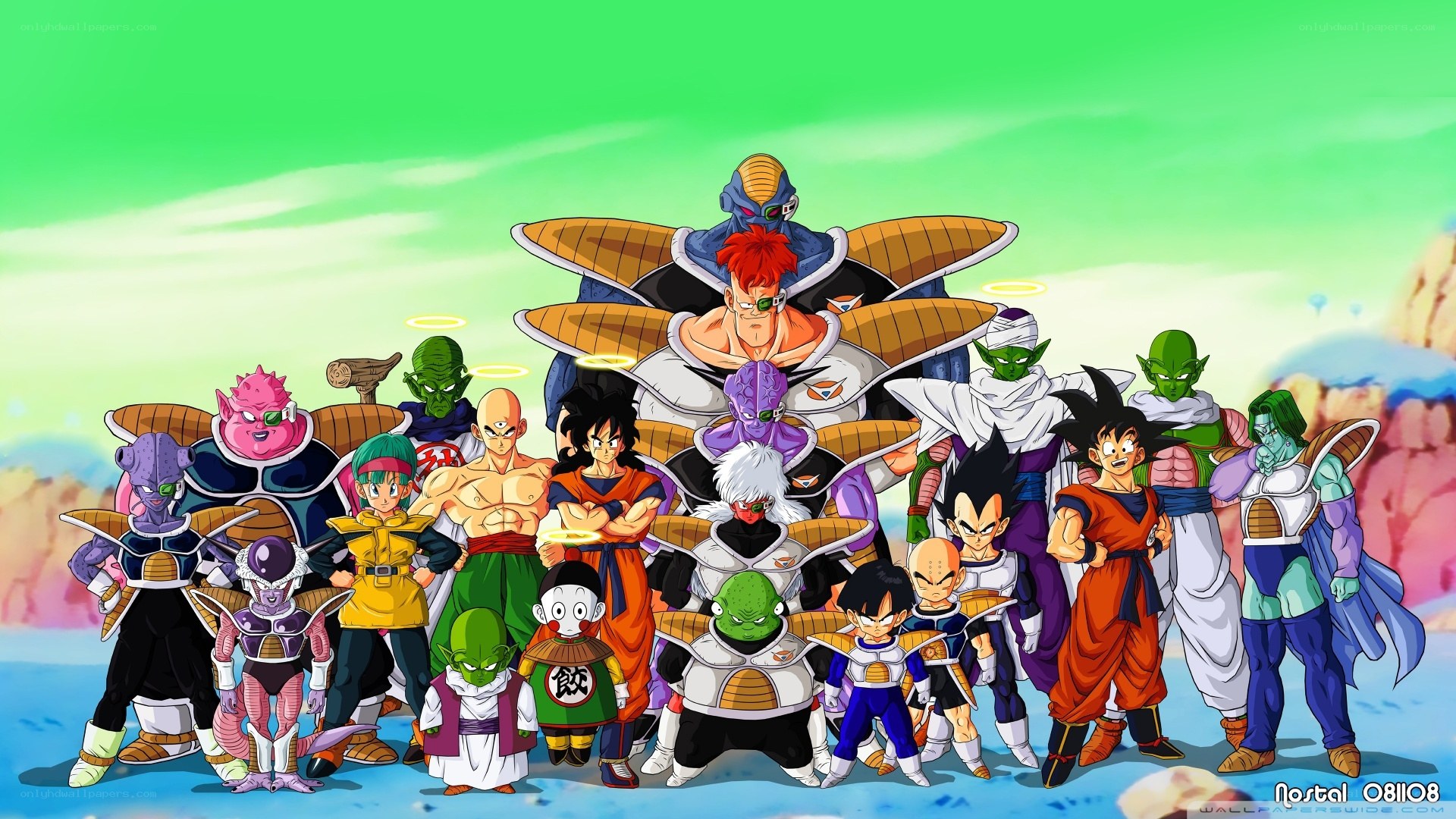 Dragon Ball Z characters group
