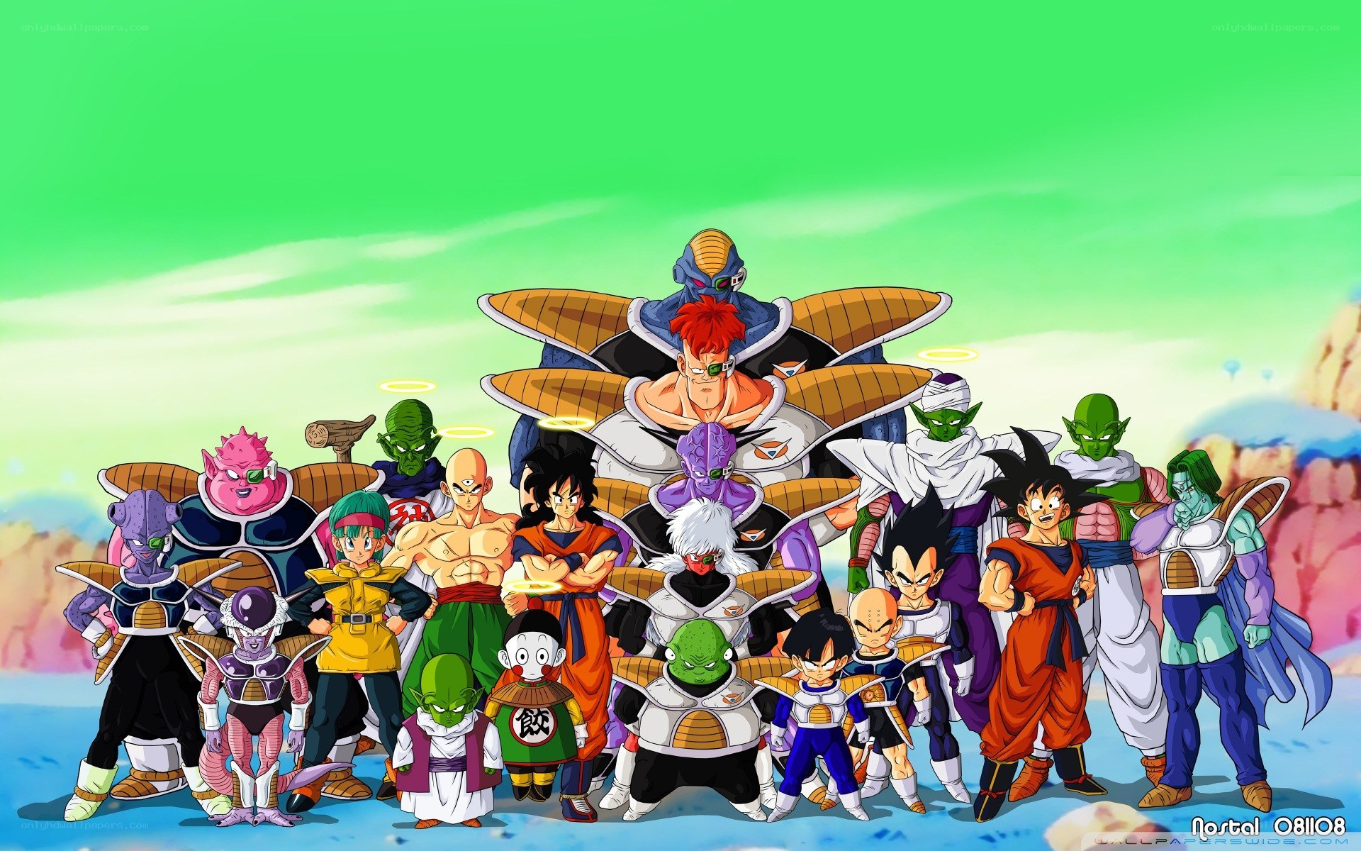 Dragon Ball Z characters group