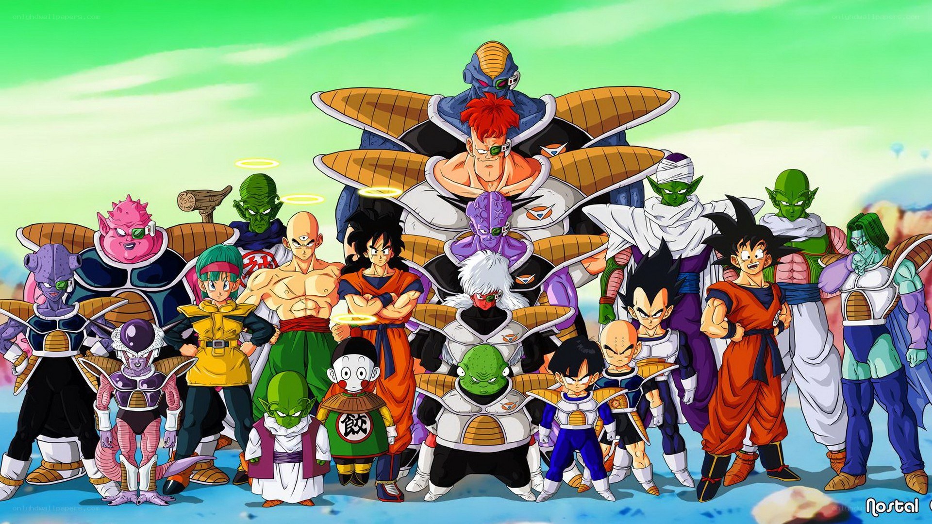 Dragon Ball Z characters group