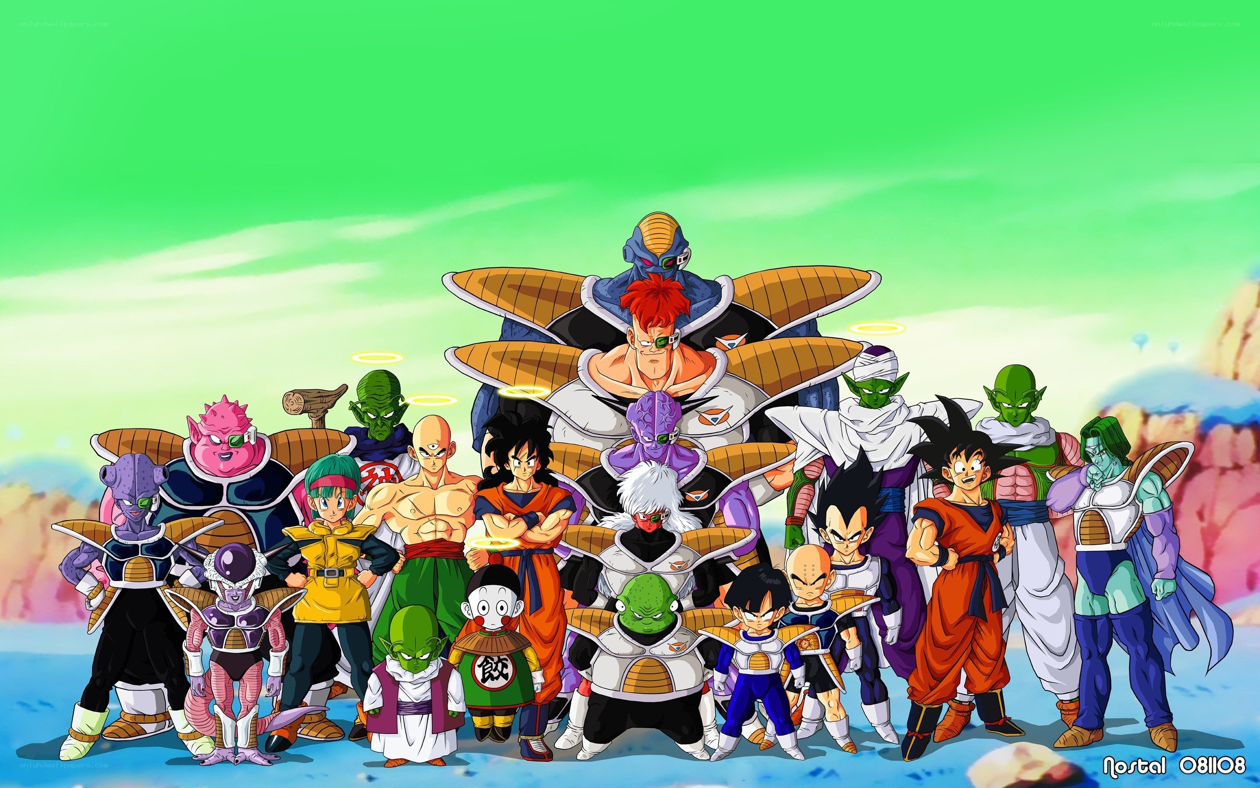 Dragon Ball Z characters group