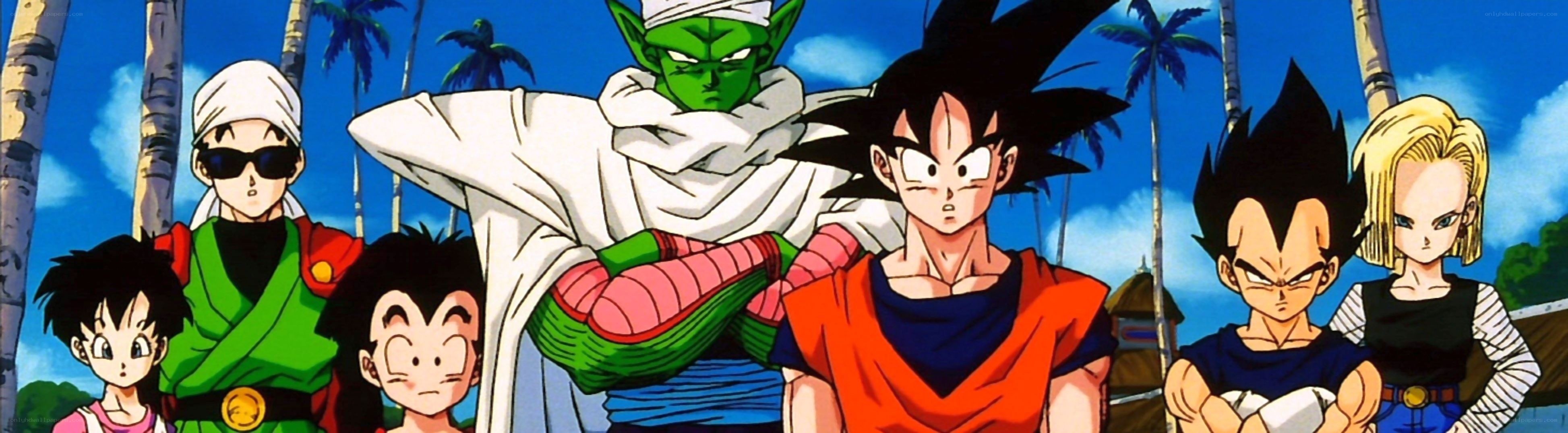 Dragon Ball Z characters on a beach