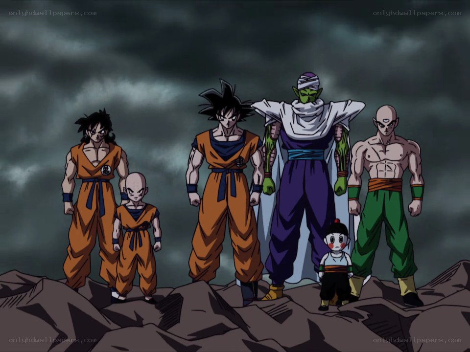 Dragon Ball Z heroes stand together