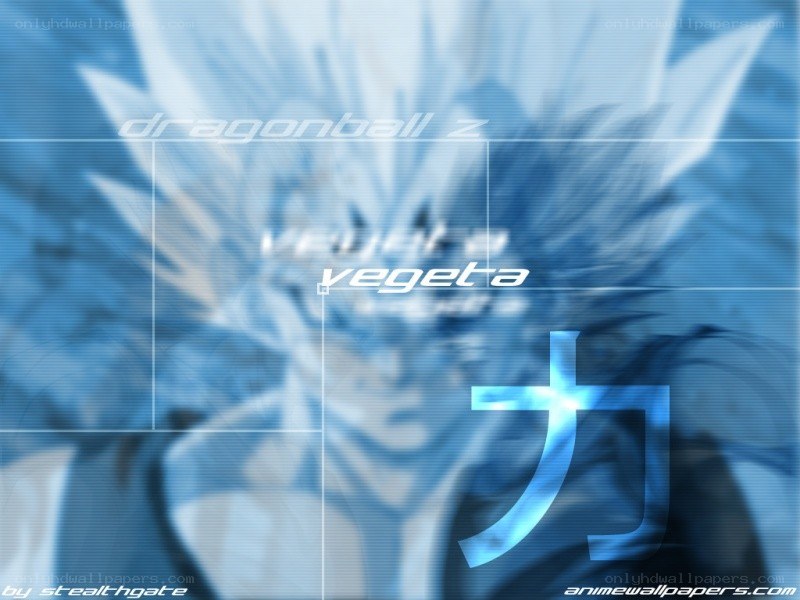 Dragon Ball Z Vegeta wallpaper