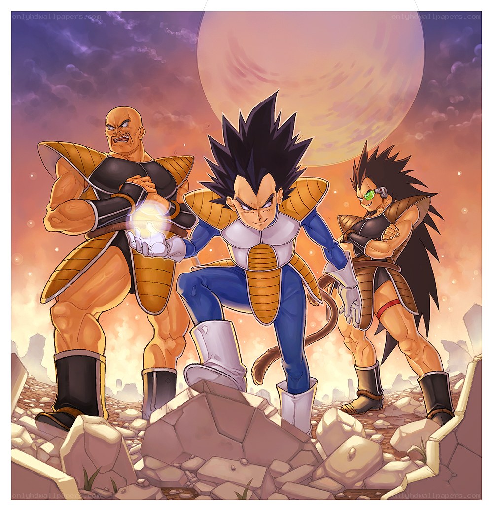 Dragon Ball Z warriors