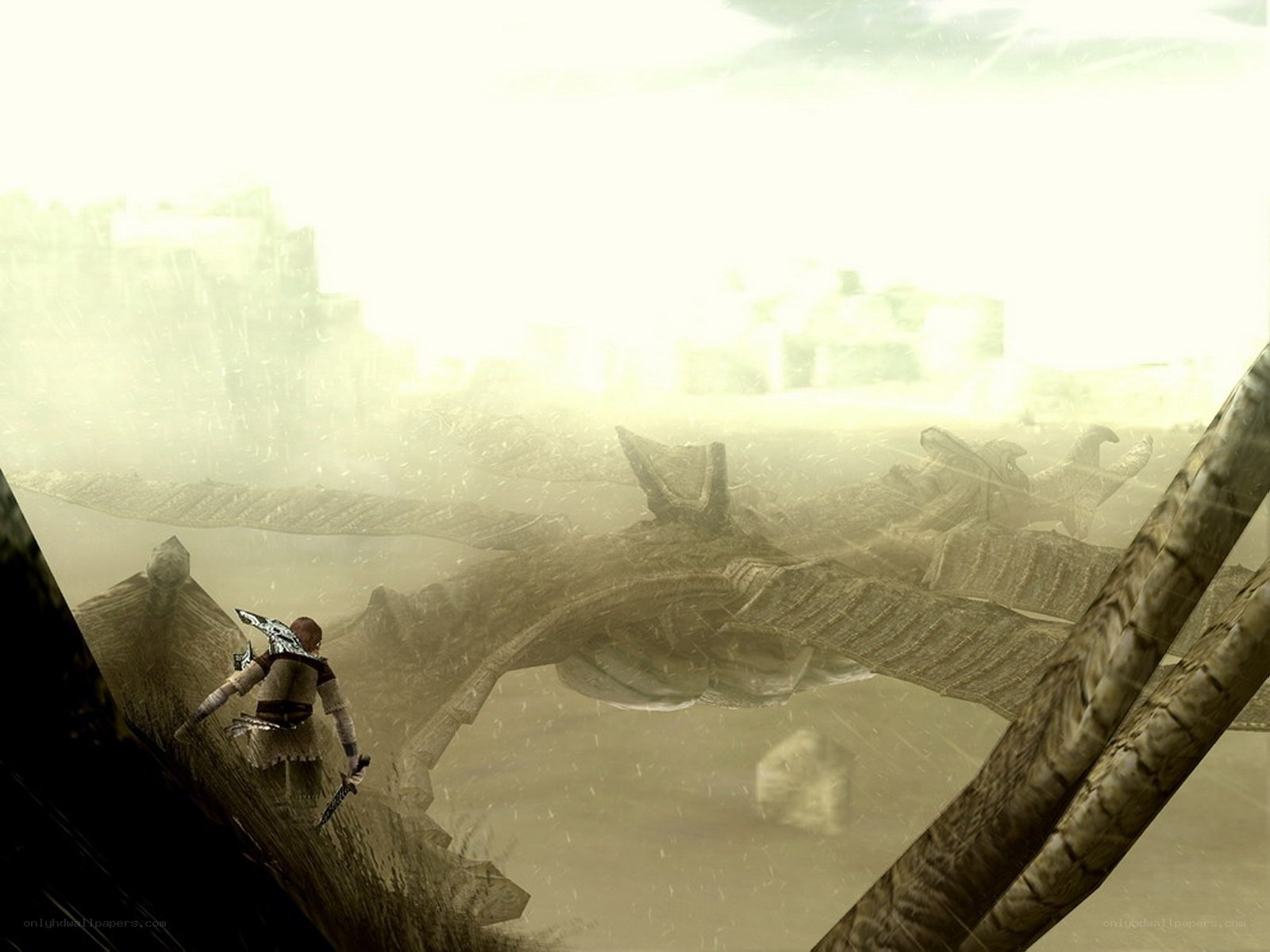 dragon battle in skyrim