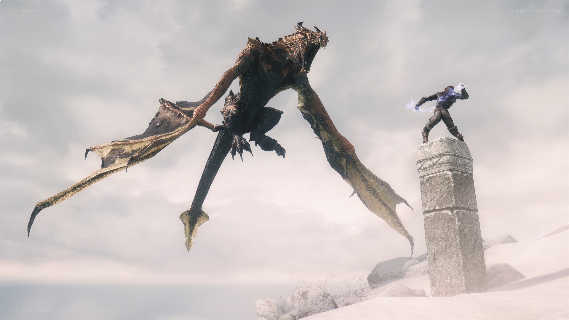 dragon battle on a snowy peak
