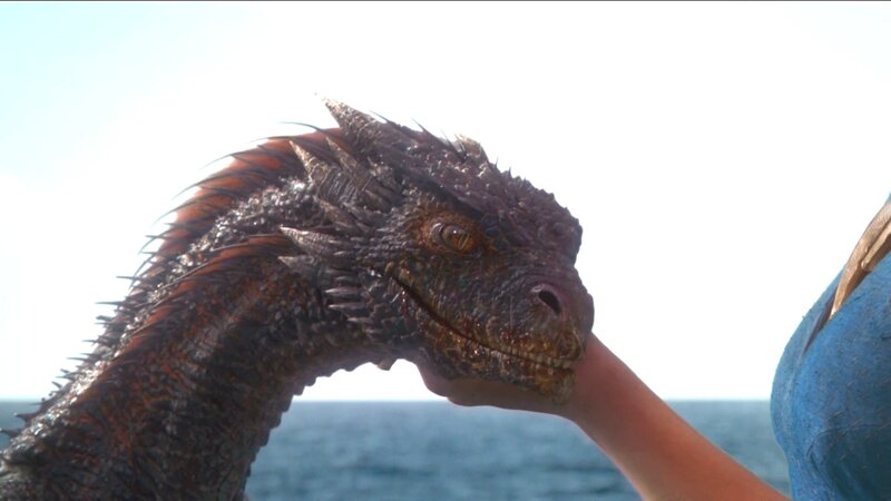 Dragon Being Petted