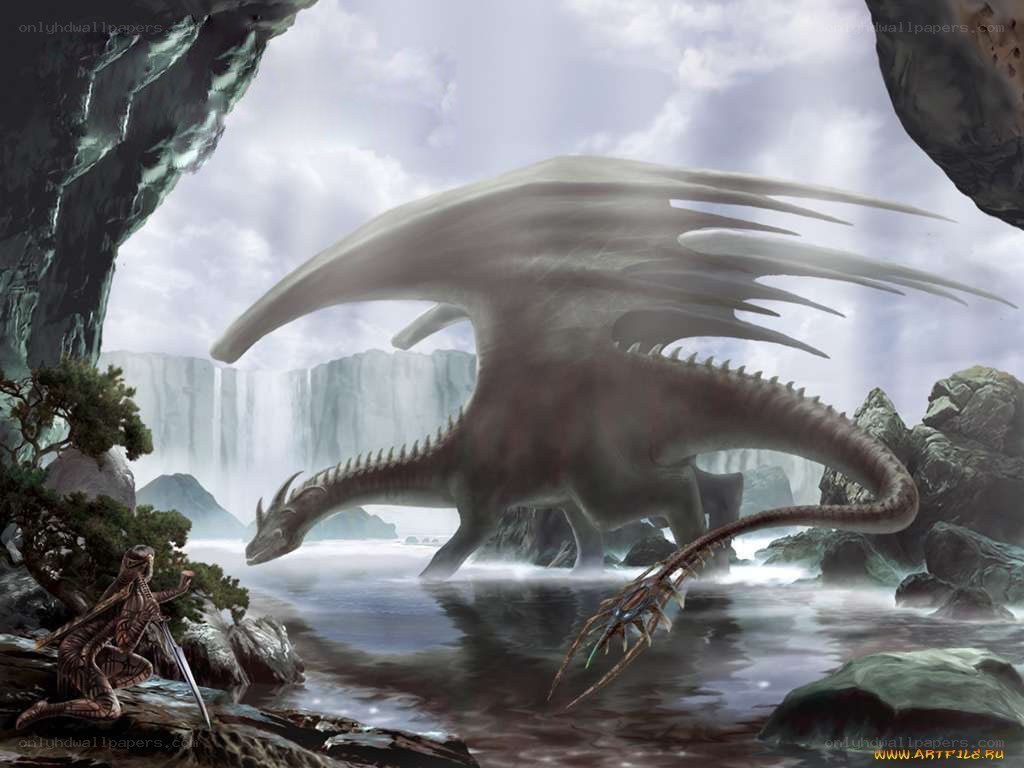 dragon by the waterfall