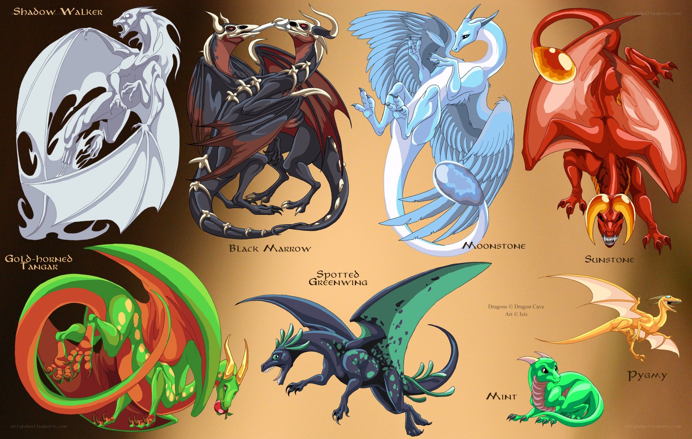 Dragon character designs