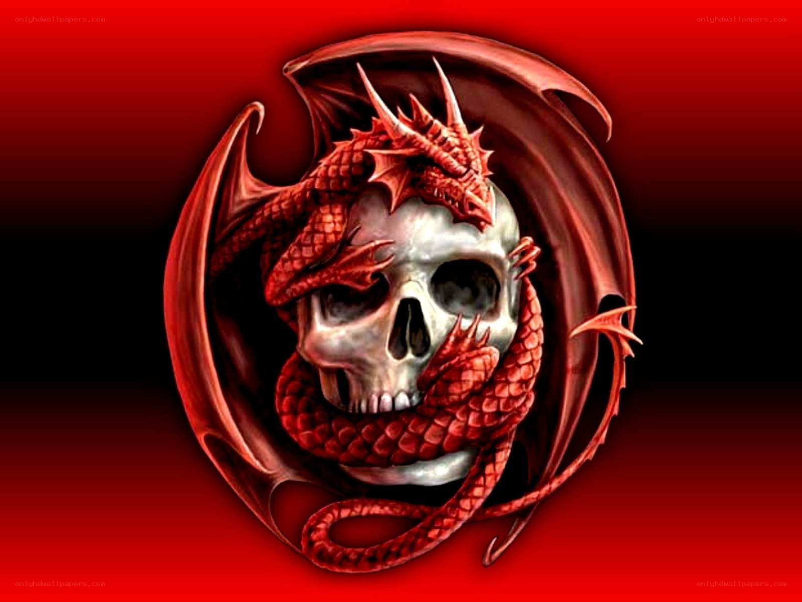 dragon coiled around skull