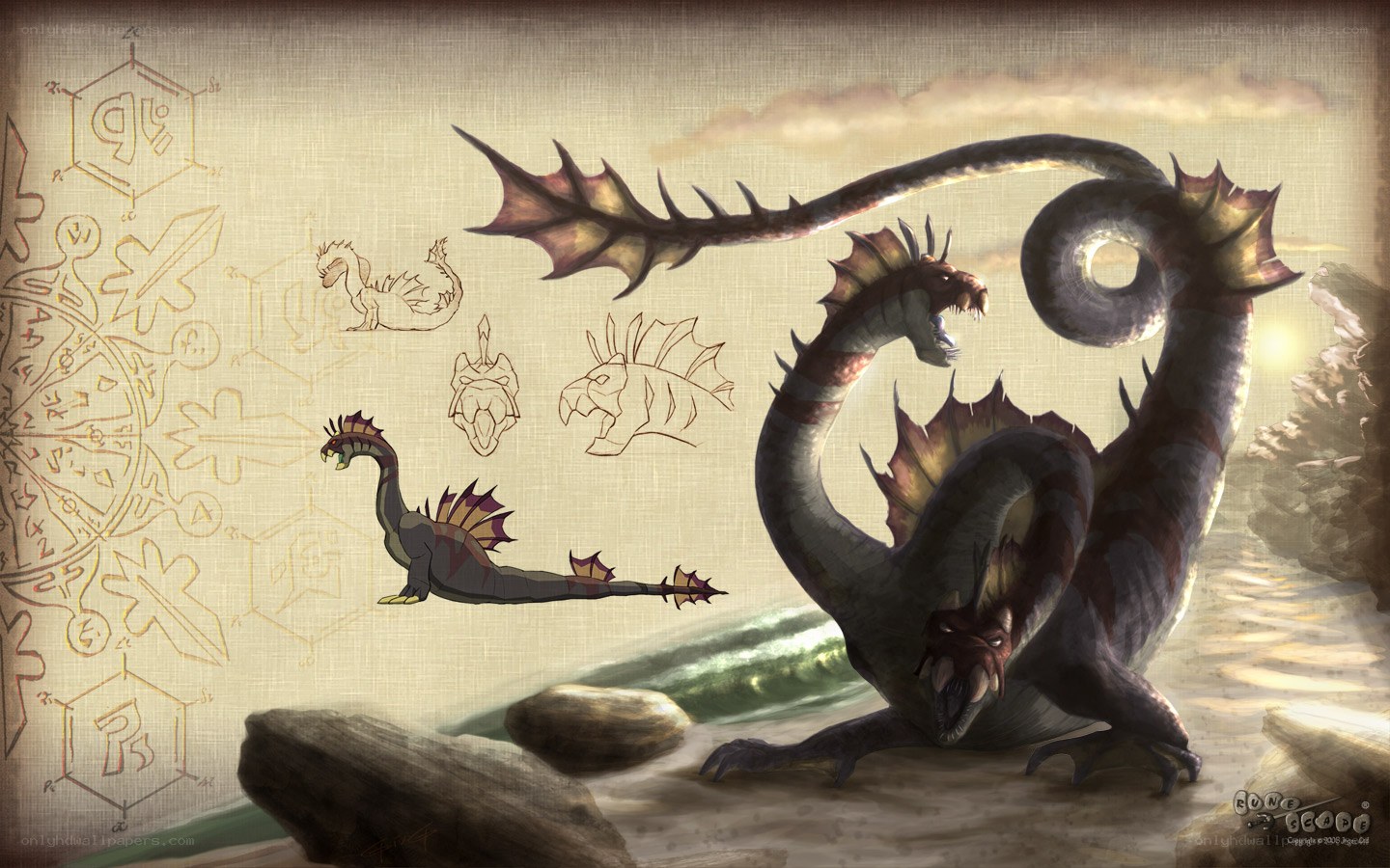 Dragon concept art and sketches