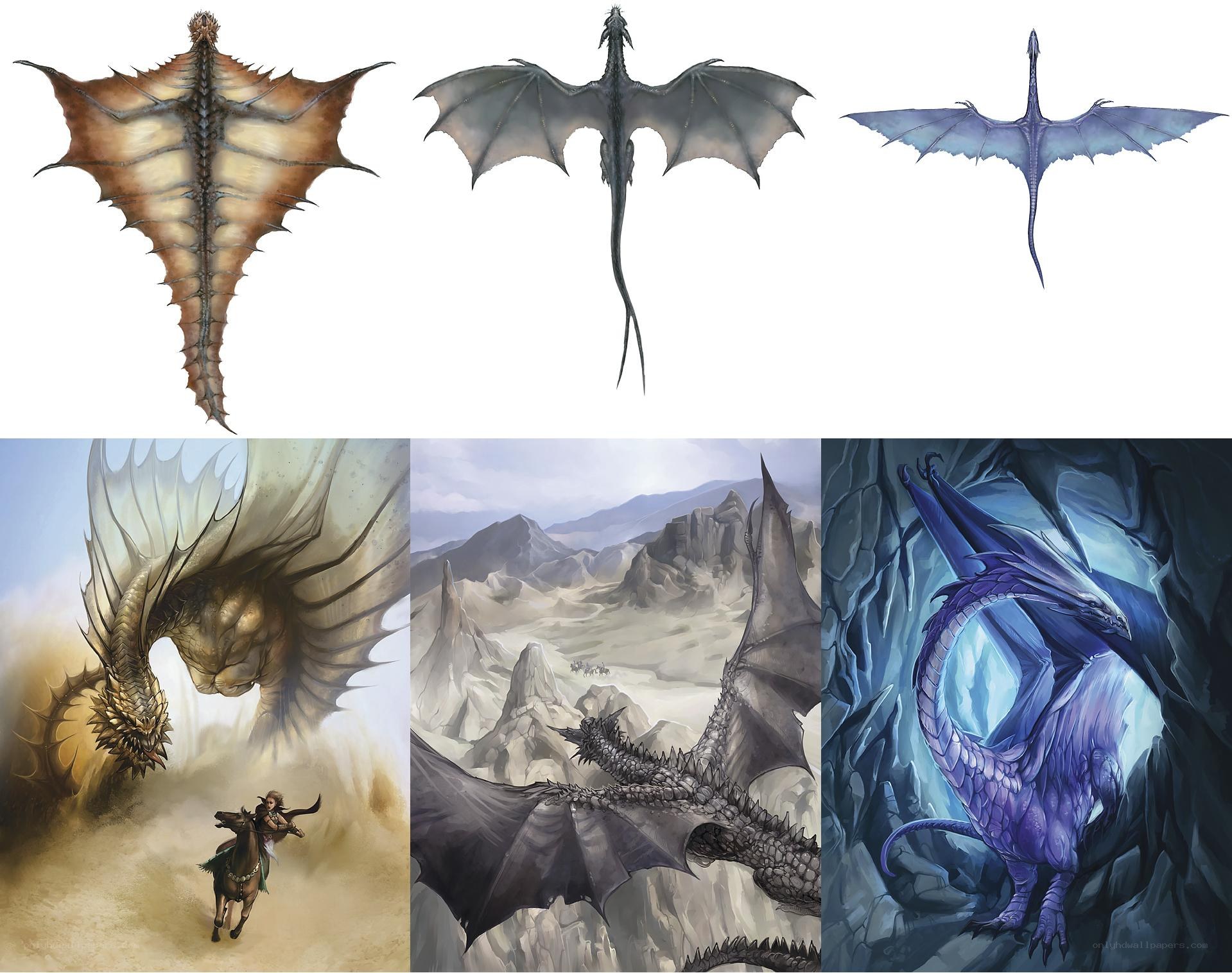 Dragon concept art collection