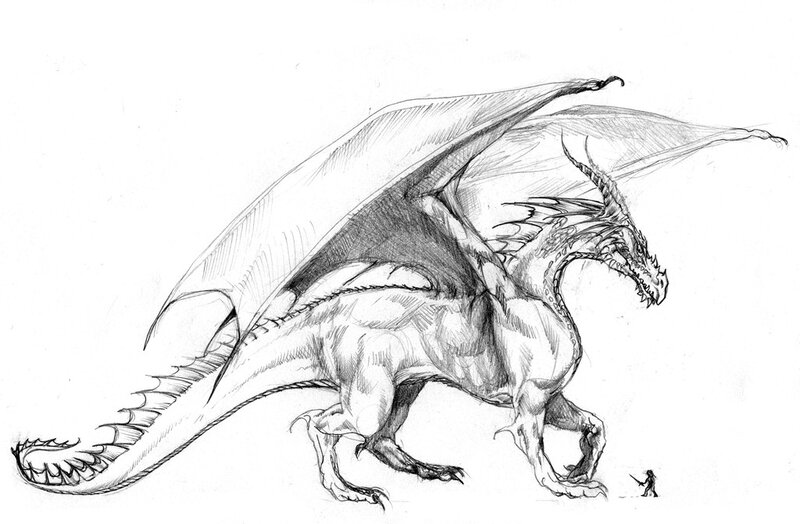 dragon concept art sketch