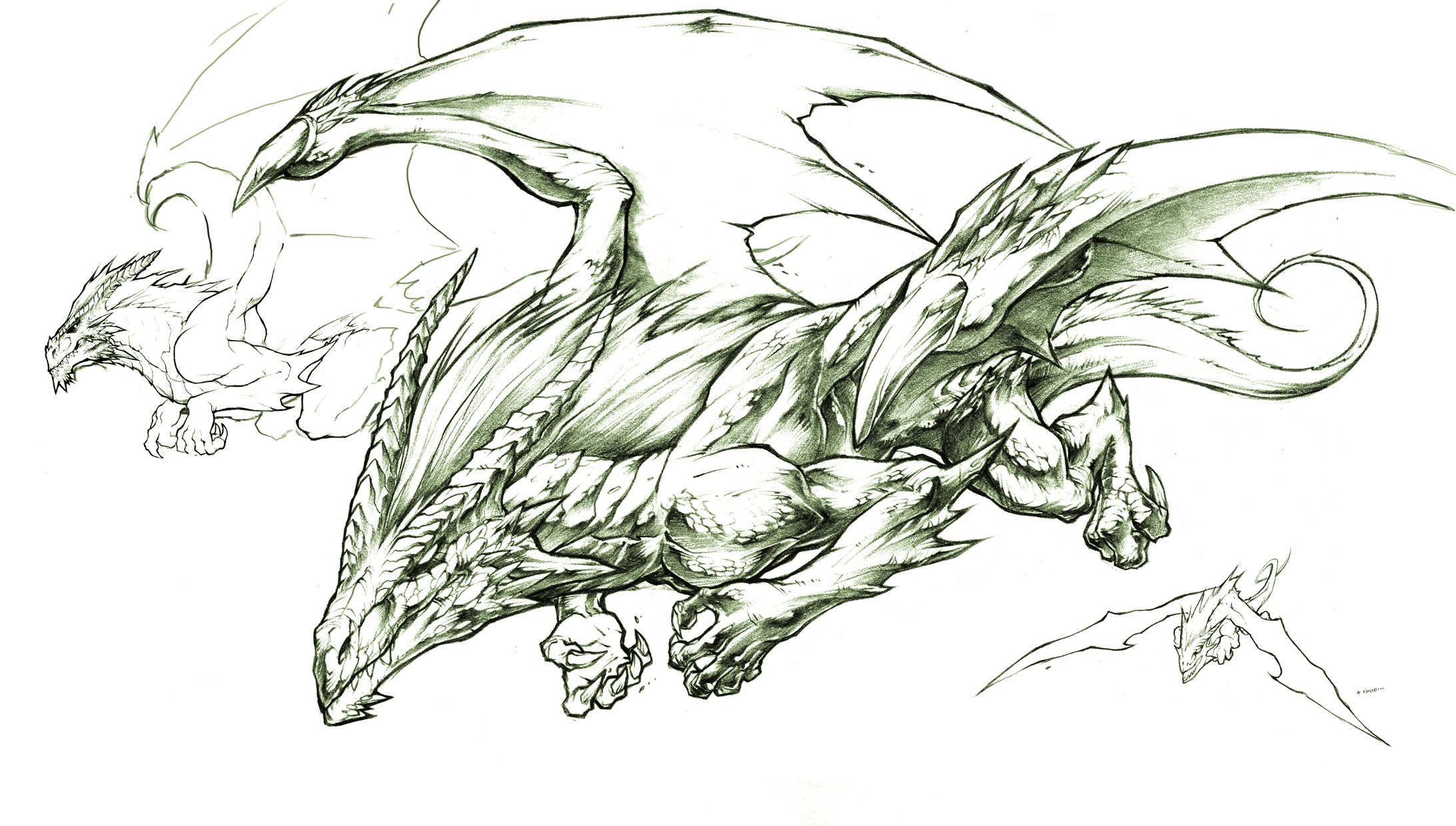 dragon concept art sketches