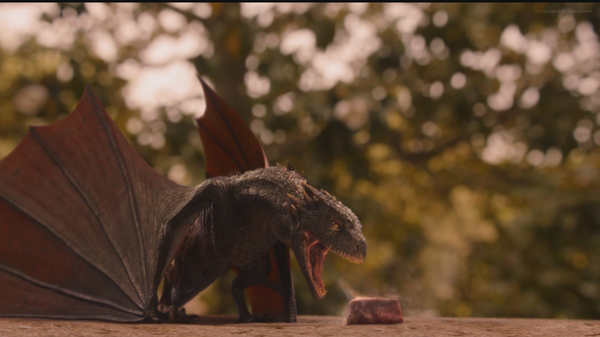 dragon eating meat