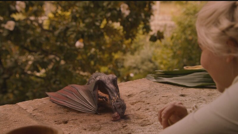 dragon eating on stone