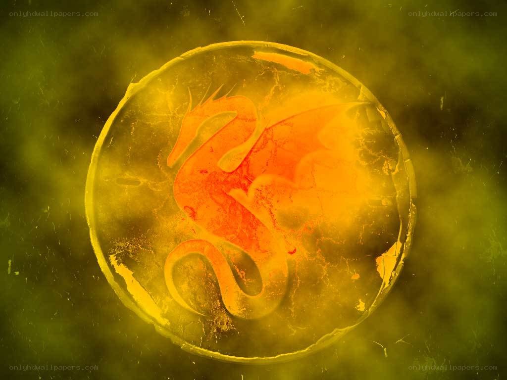dragon emblem in golden orb