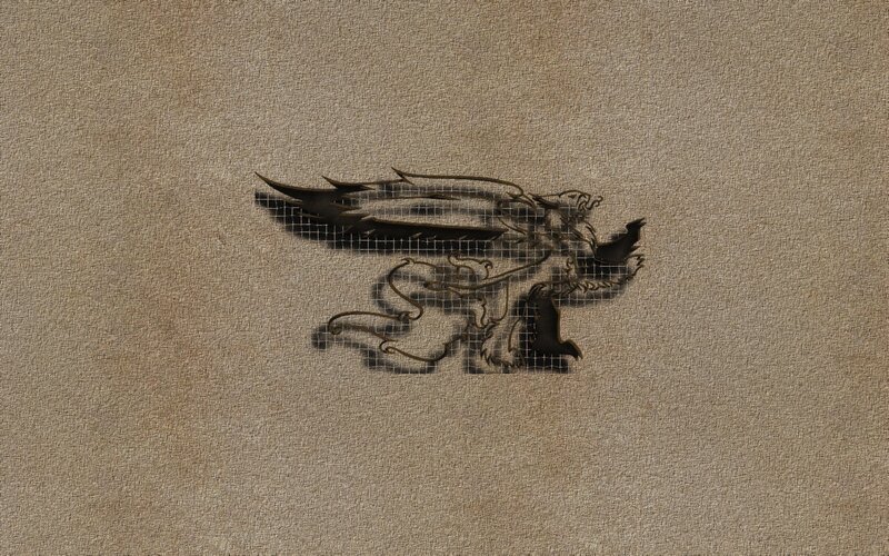 dragon emblem on fabric