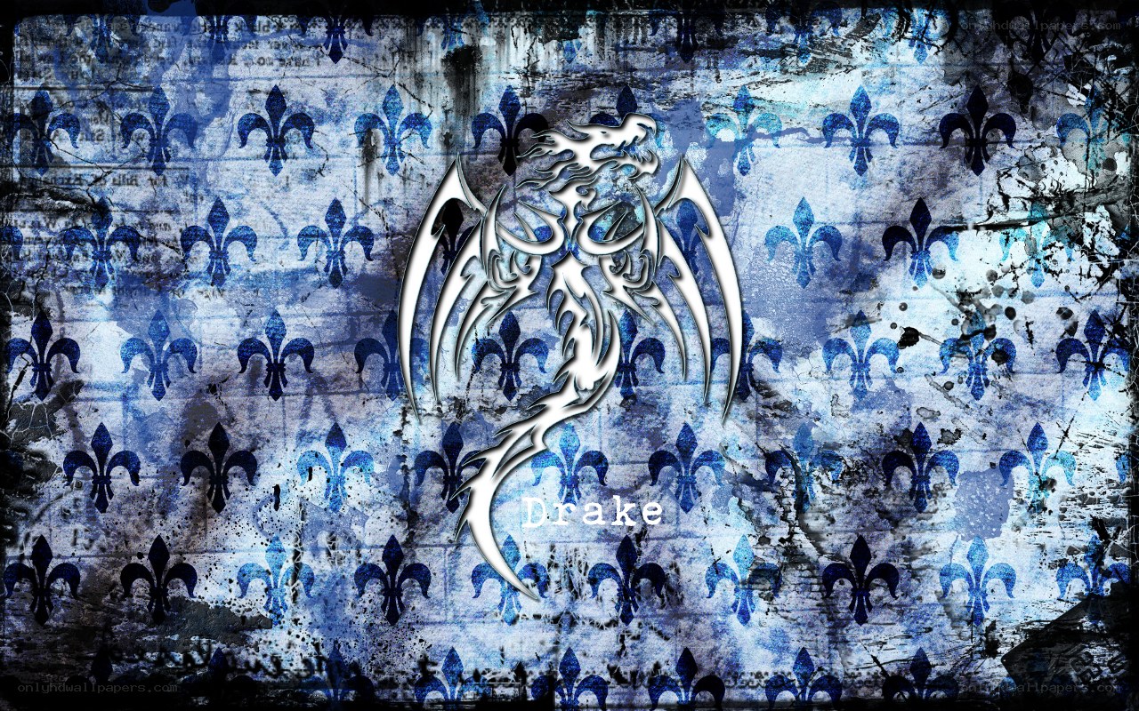 dragon emblem on grunge background