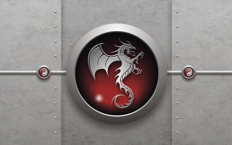 dragon emblem on metal wall