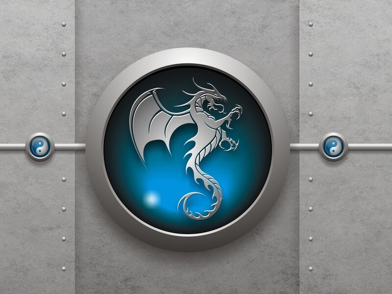 dragon emblem on metal wall